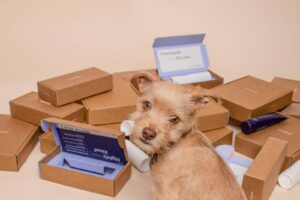 Umzugsunternehmen deinen Umzug erleichtern