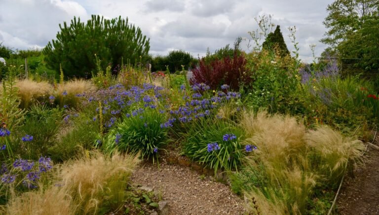 Garten neu gestalten: Die richtige Reihenfolge